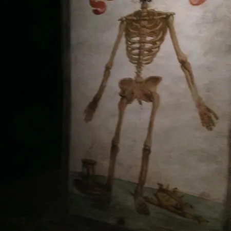 Vita Partenopea * Naples