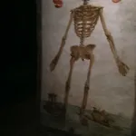 Vita Partenopea * Nápoly